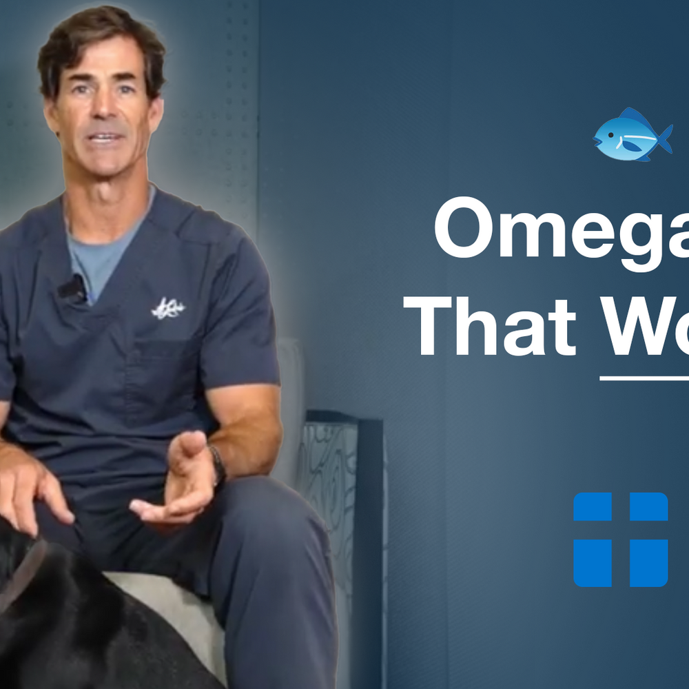 rTG Omega-3: Superior Absorption for Heart, Brain & Eye Health
